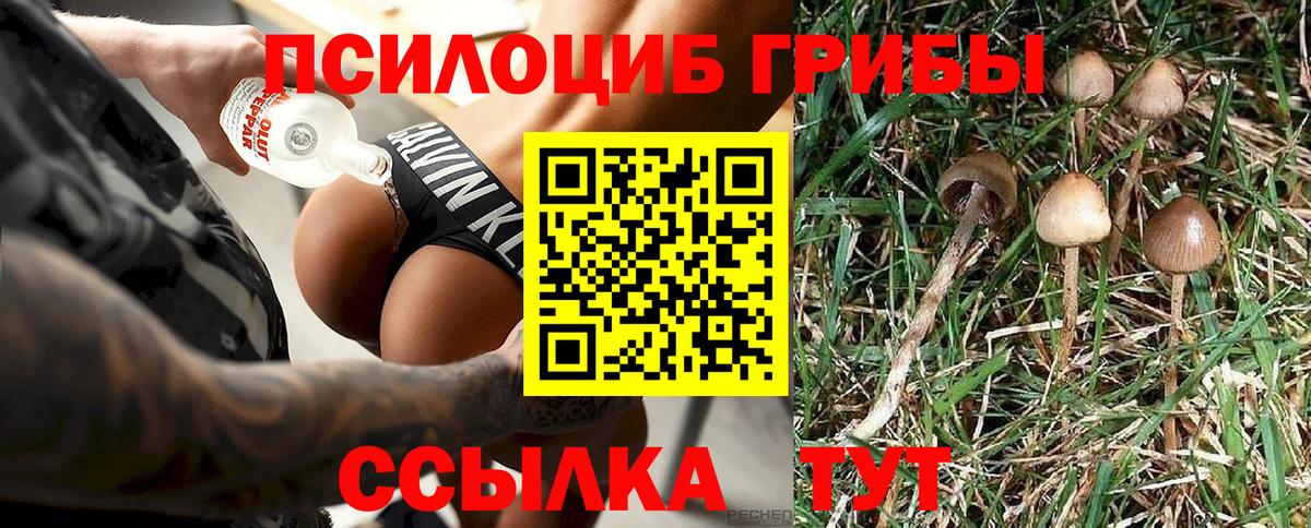 Галлюциногенные грибы Psilocybine cubensis Советск