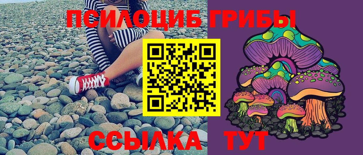 Галлюциногенные грибы Psilocybe  Вход с VPN  Советск 
